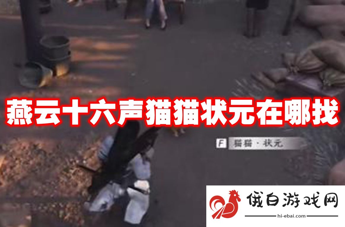燕云十六声猫猫状元在哪找
