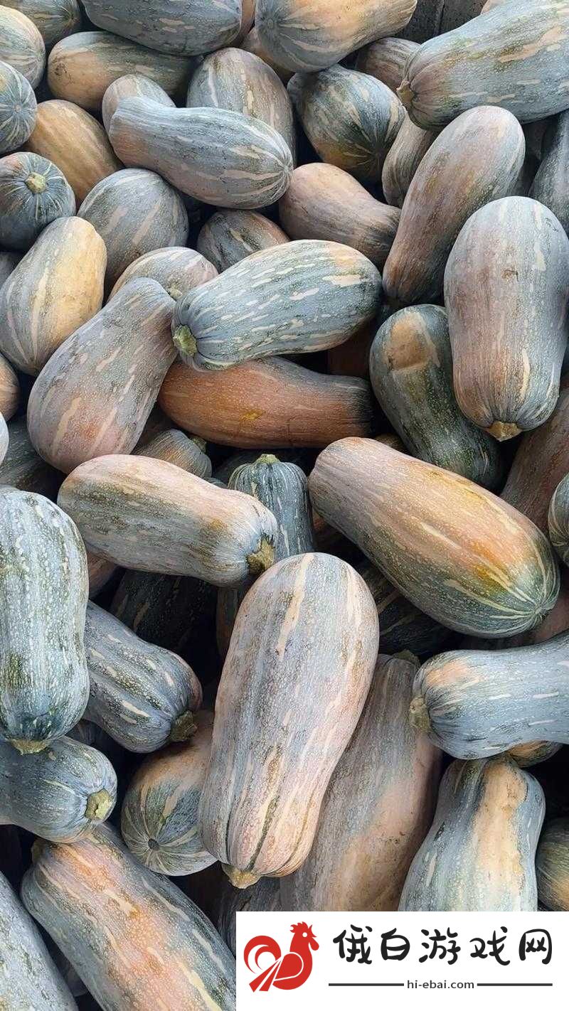 今日大瓜