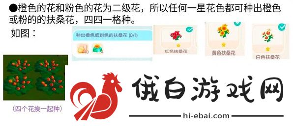 心动小镇扶桑花怎么杂交