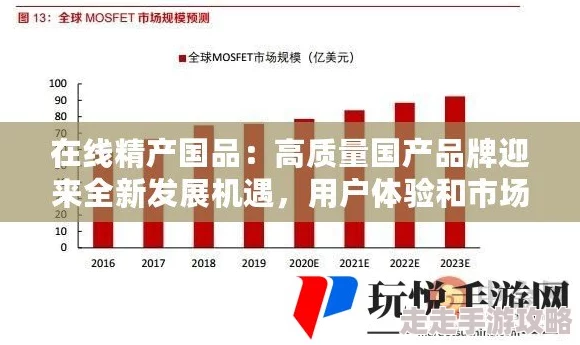 探索国产＊的崛起
