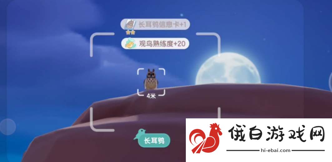 心动小镇观鸟位置攻略大全