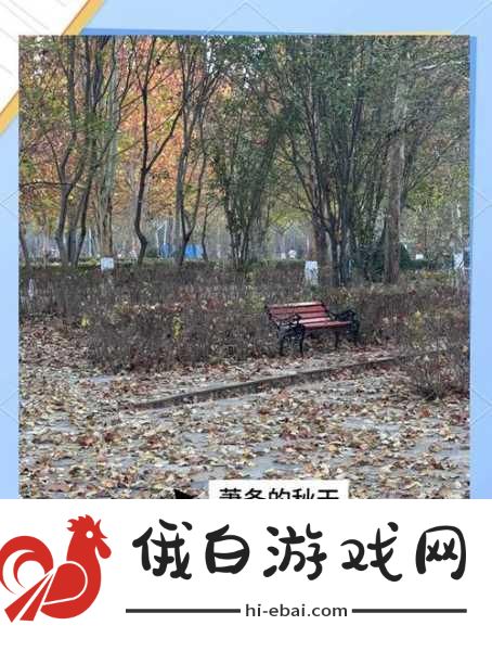 我独自生活梅开二度成就如何达成-独自生活梅开二度成就达成技巧