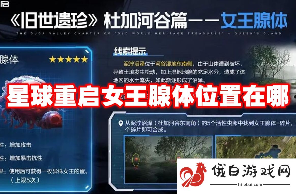星球重启女王腺体位置在哪