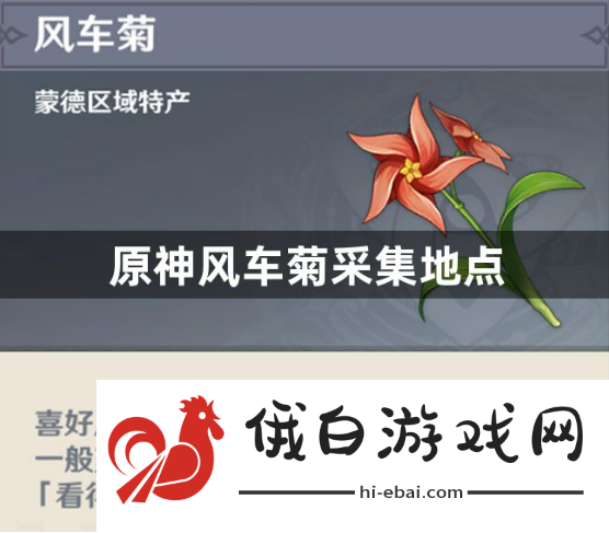 原神风车菊采集地点在哪