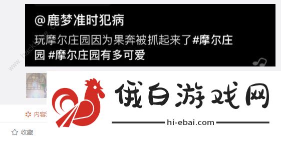 摩尔庄园手游不穿衣服会被抓吗  不穿衣服被抓了怎么出来图片2