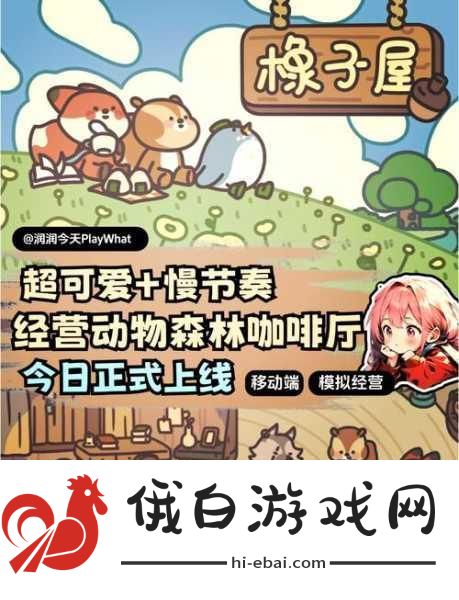 橡子屋橡子屋大宝典放置方法