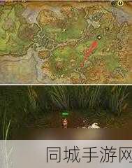 魔兽世界真爱之光buff获取方法，全面攻略指南