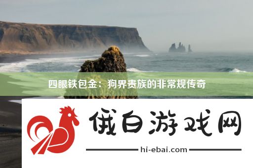 四眼铁包金