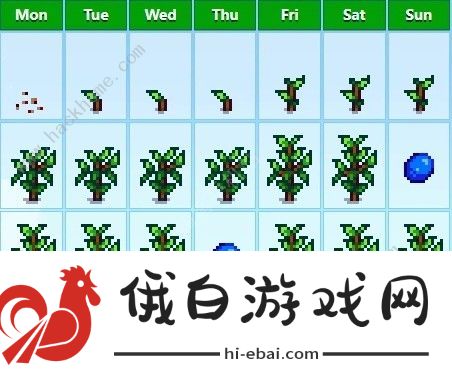 星露谷物语1.6烘干流攻略 1.6烘干机适用哪些场景图片5