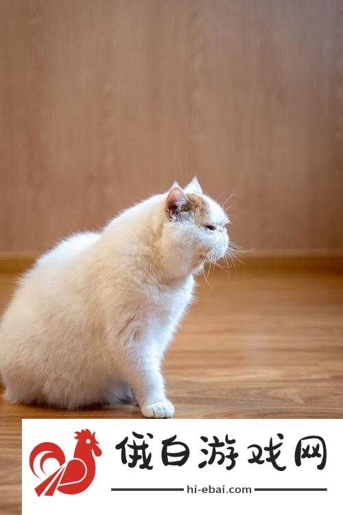 另一个伊甸超越时空的猫多娃