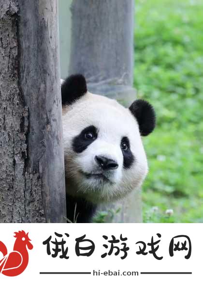 幸福宝APP官导入资源1.探索幸福宝APP