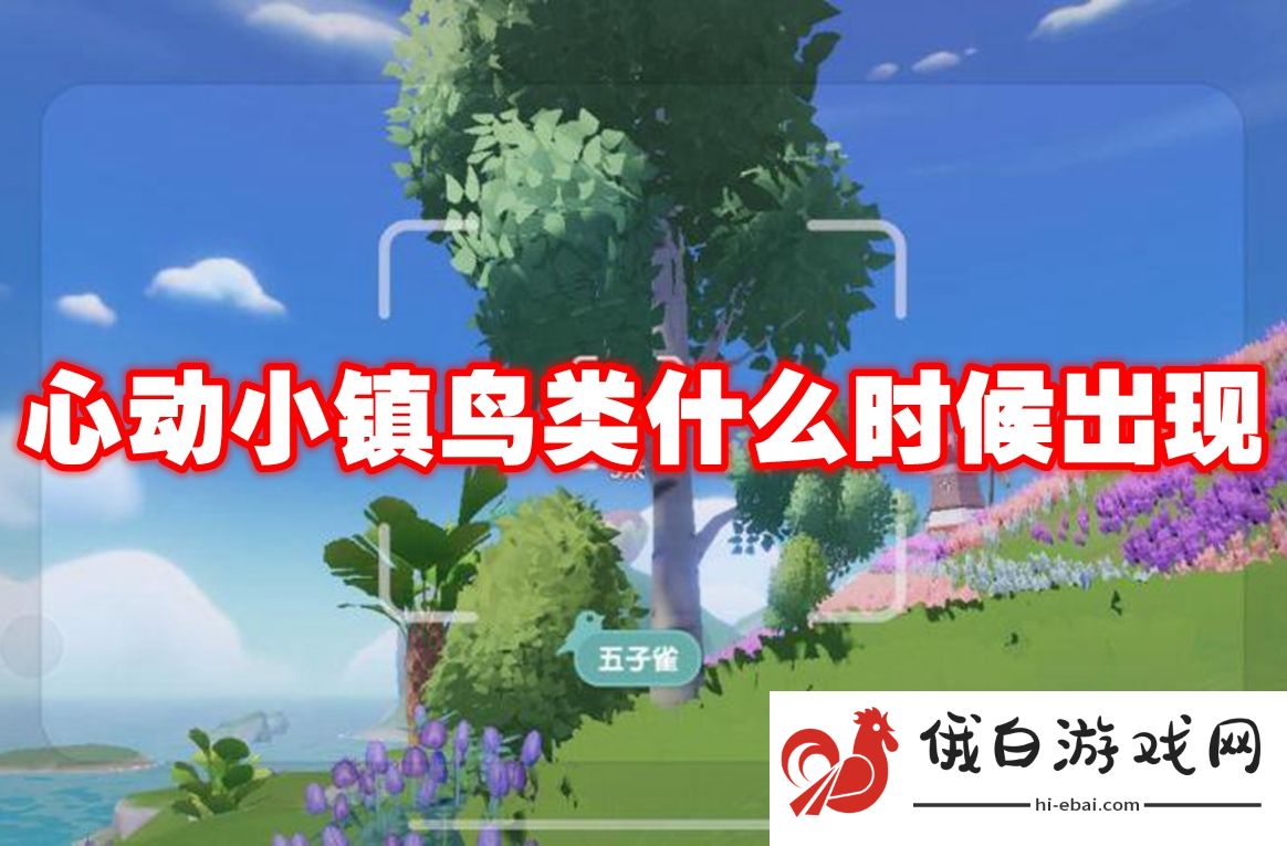 心动小镇鸟类什么时候出现