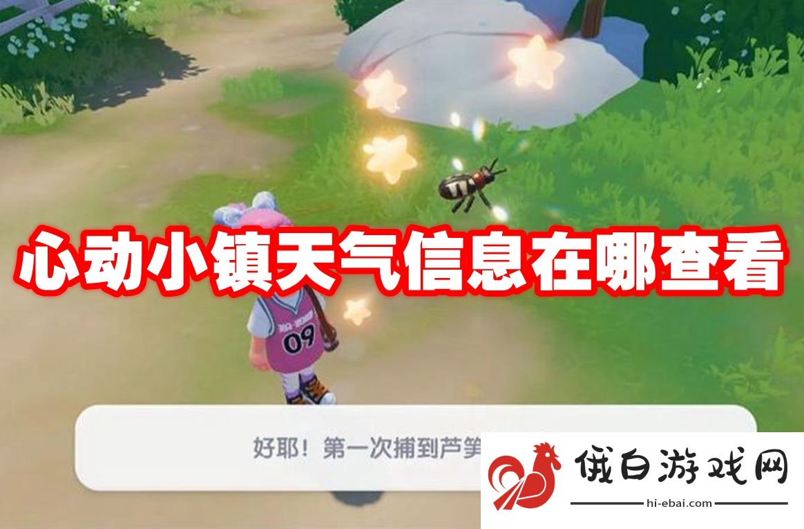 心动小镇天气信息在哪查看