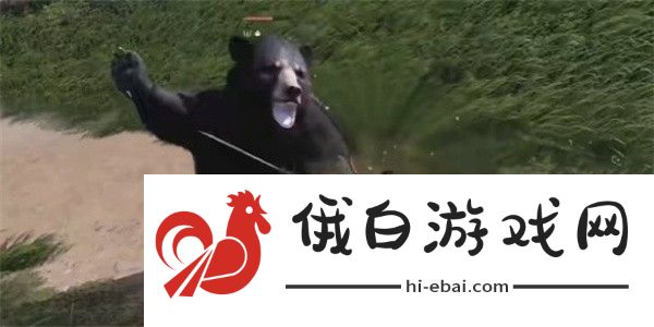 燕云十六声英雄与美奇遇怎么完成