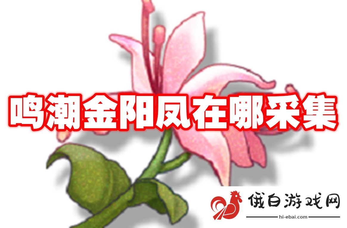 鸣潮金阳凤在哪采集