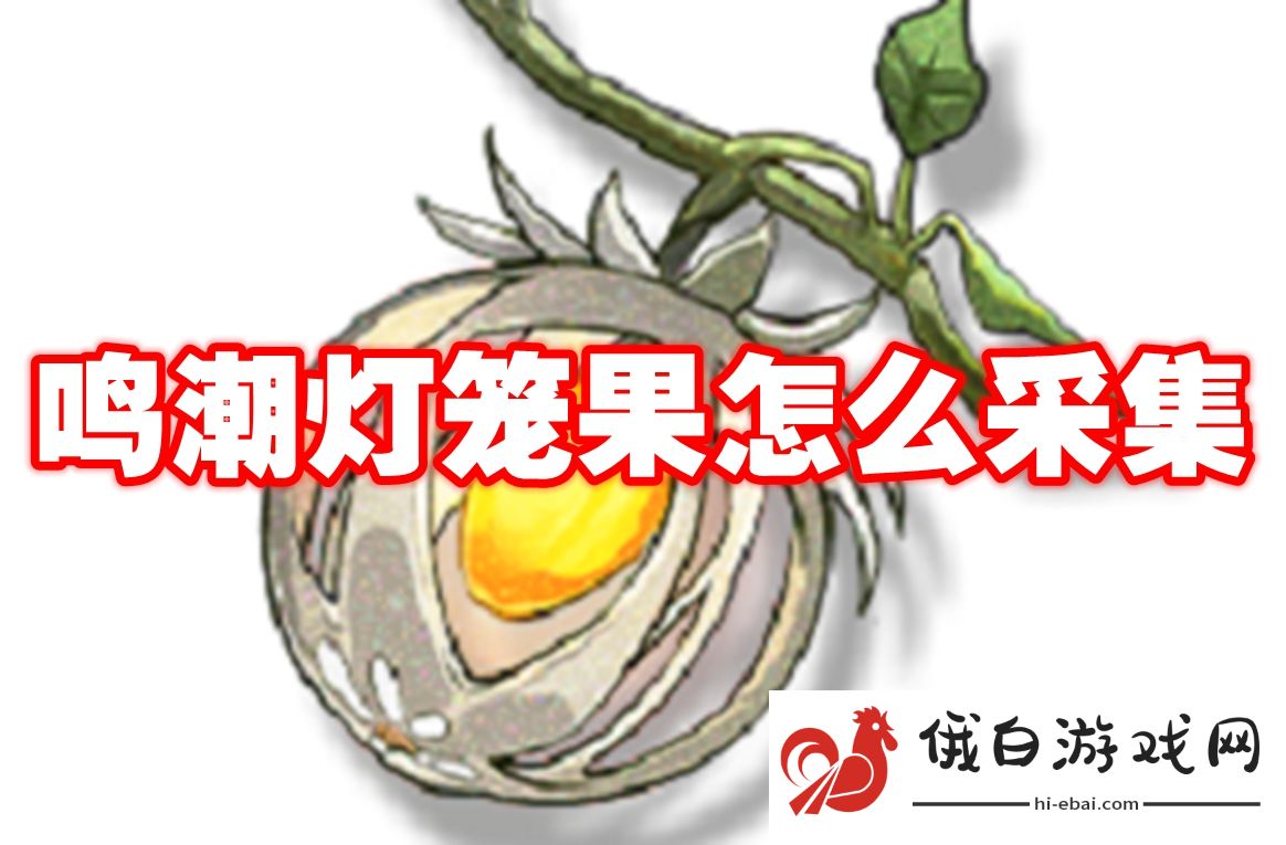 鸣潮灯笼果怎么采集