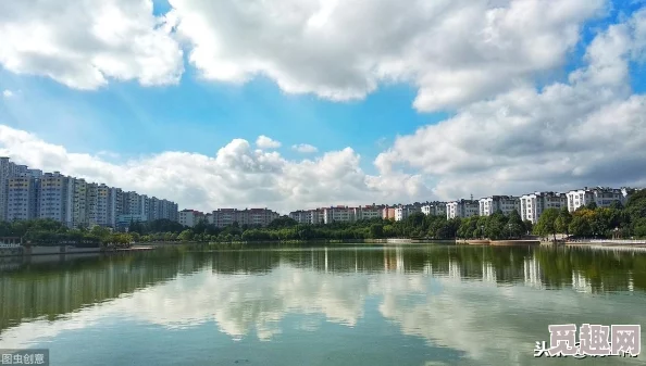 ＊一级片