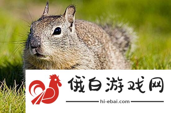 你敢信吗