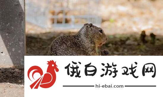 你敢信吗