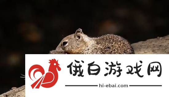 你敢信吗
