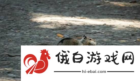 你敢信吗