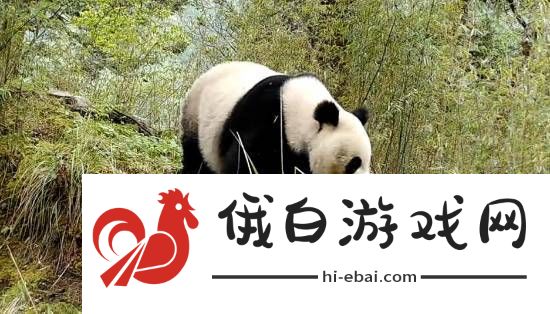 你敢信吗