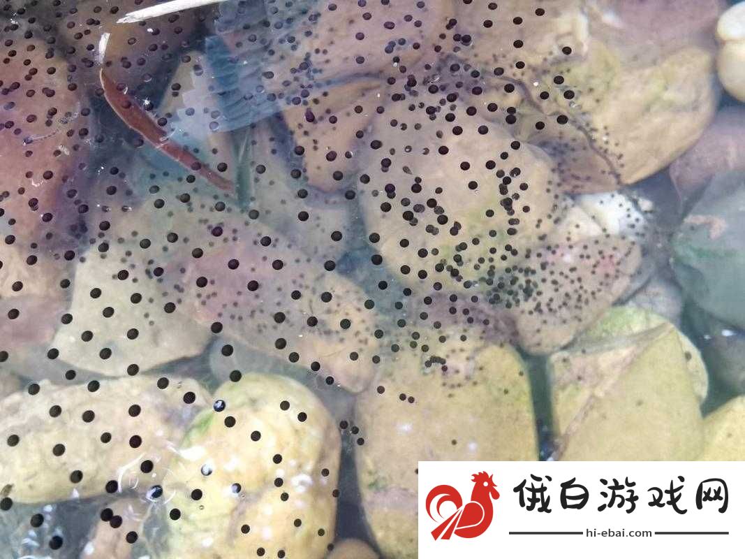 九色