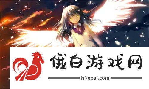 美味诱惑！授课方式by肉馅小水饺第1集 从饺子皮到馅料全方位解析