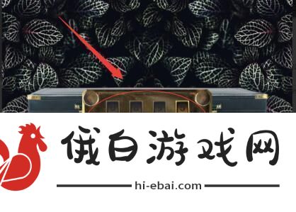 失落记忆黑色公文包的密码多少