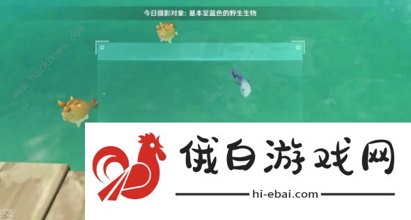 原神基本呈蓝色的野生生物在哪 图形对抗实验录三拍摄位置详解图片13