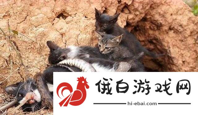 一对夫妇为救自己的女儿