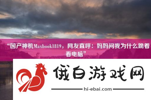 “国产神机Maxbook1819