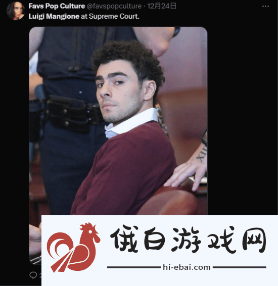 枪杀医保巨头CEO嫌犯颜值出圈