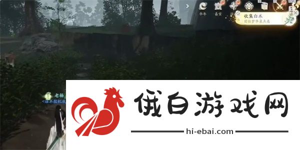 《射雕》白术收集攻略