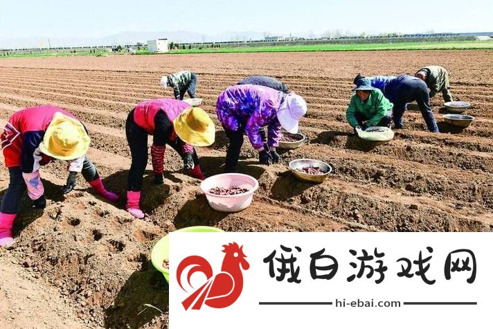 探寻“耕种姨妈肥沃的土地”的奥秘与美好