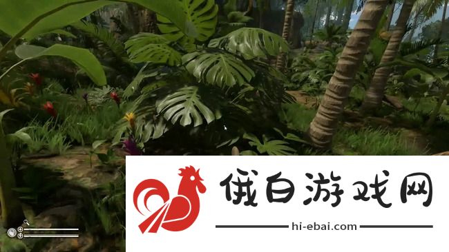 《绿色地狱》纤维获取方法