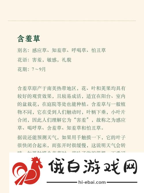 揭示情感深邃的含羞草电视剧背景故事