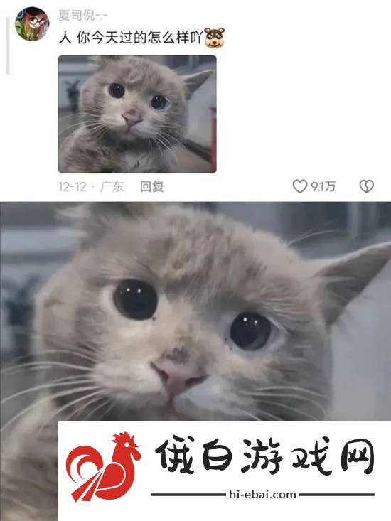 不懂小肚子的有难了