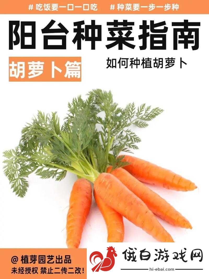 僵尸毁灭工程中胡萝卜种植技巧