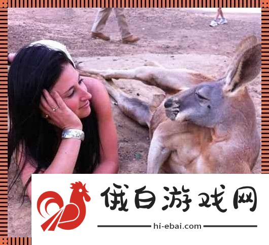 “奇趣互动！高清时代的人物与动物‘吵架’日常