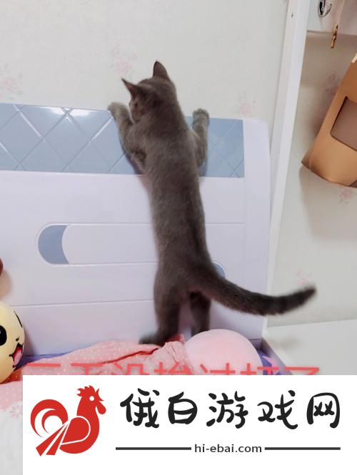 酒吧恶作剧太刺激了！这样玩不挨打才怪呢！
