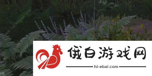 王国之泪克洛格森林怎么进入 克洛格森林位置及进入方法图片13