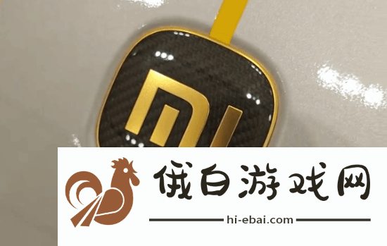 别去抠标！雷军称小米SU7