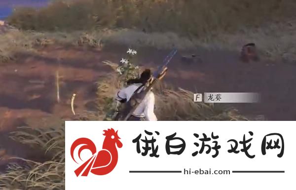 燕云十六声杏花不见怎么获得
