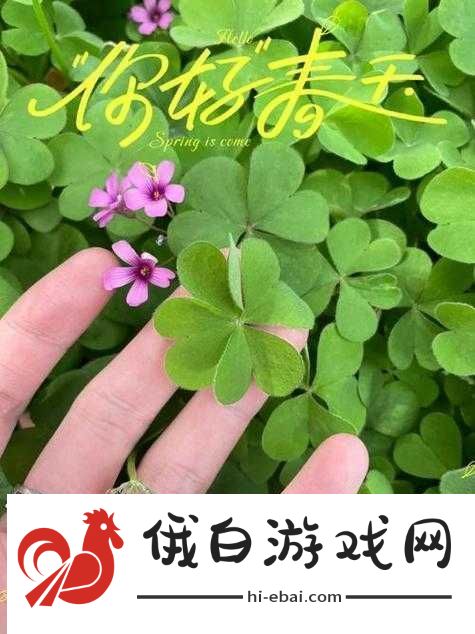 成品人与精品人在四叶草区别上的探讨