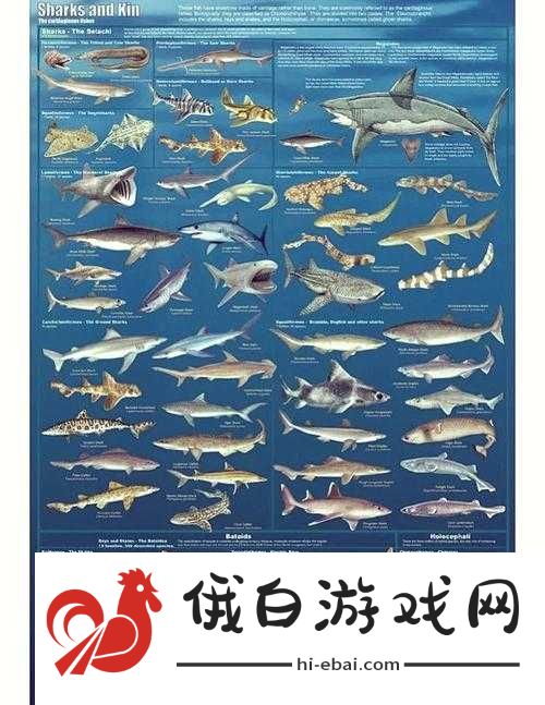 桃源记