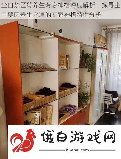 尘白禁区肴养生专家神格深度解析