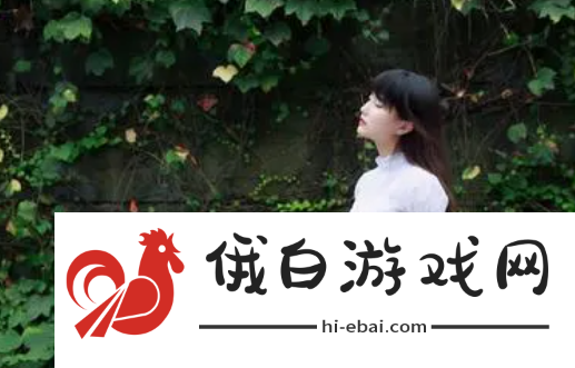 续父开了续女包:了解每一款的独特魅力!