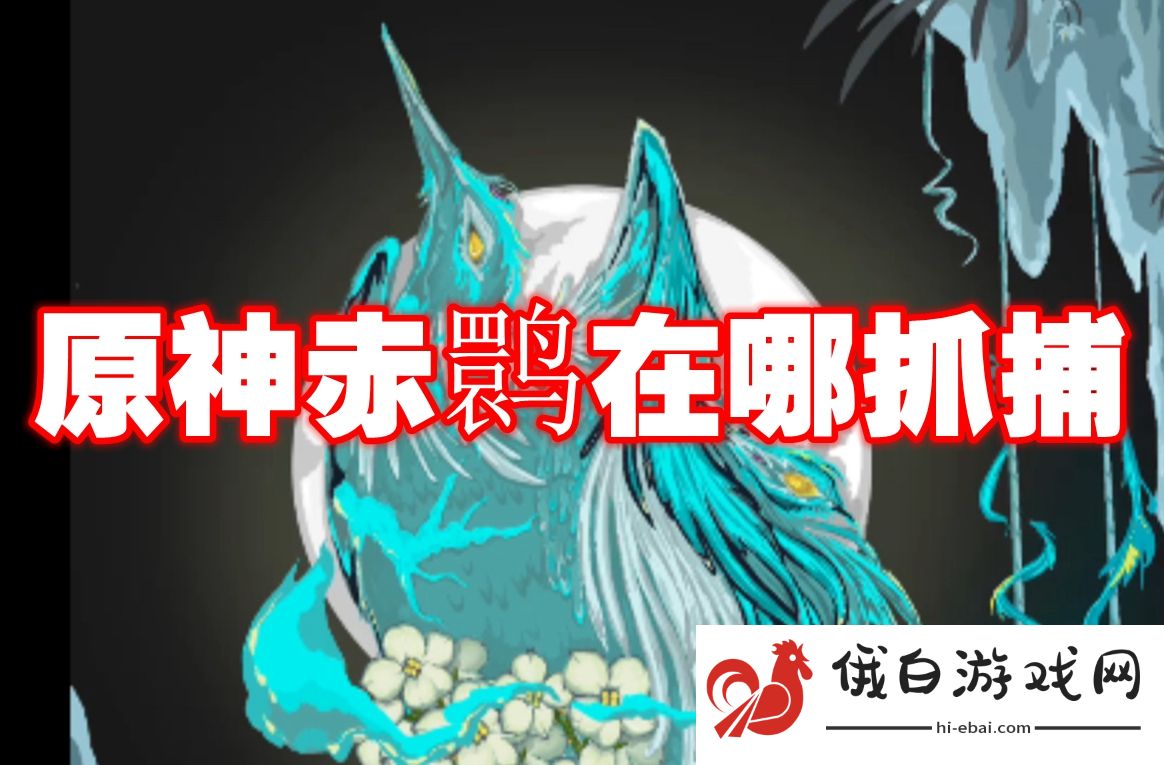 原神赤鹮在哪抓捕