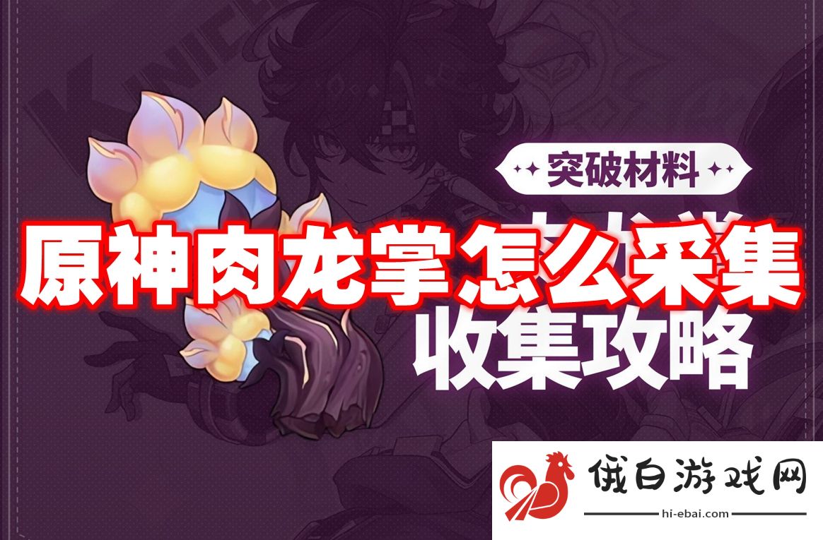 原神肉龙掌怎么采集